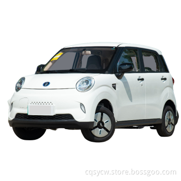 Hot Sale New Energy Vehicle 2023 Left Hand Drive Electric Car Made In China Electriccar